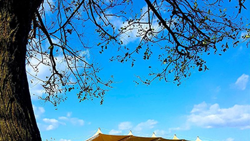 在市场上，众多品牌推出了各自的儿童学习平板，以下列举几个知名品牌的产品特点：
