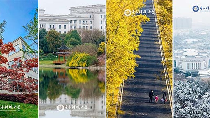 电容触摸屏常见故障解析与维修技巧