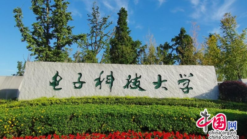 固态继电器与电磁继电器在电机控制中的应用对比